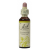 Clematis/klematis – Bachs blomstermedisin 20 ml