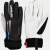 Lill Sport Glove Legend Thermo NO 23/24, langrennshanske unisex