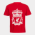 Liverpool Cotton Tee Nº9, t-skjorte fotball, junior