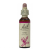 Oak/eik – Bachs blomstermedisin 20 ml