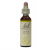 Olive/oliventre – Bachs blomstermedisin 20 ml