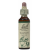 Walnut/valnøtt – Bachs blomstermedisin 20 ml