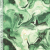 Watercolour Green – Kanvas