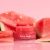 Watermelon Lip Balm