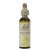 Wild rose/steinnype – Bachs blomstermedisin 20 ml